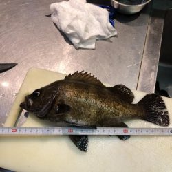 久しぶりの投稿