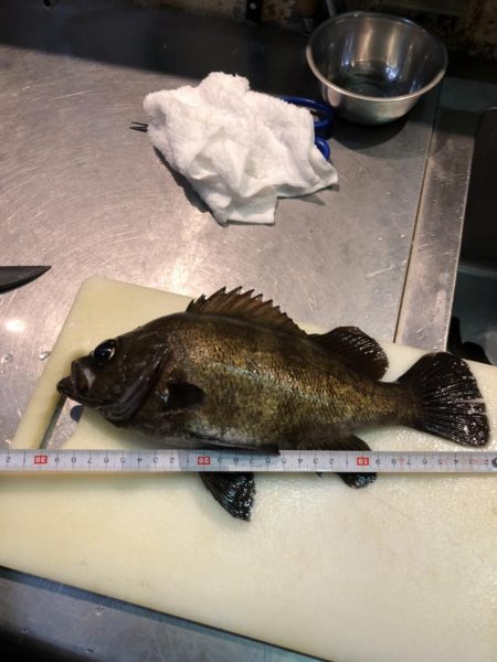 久しぶりの投稿