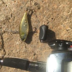 ボトム ズル引きパターンで