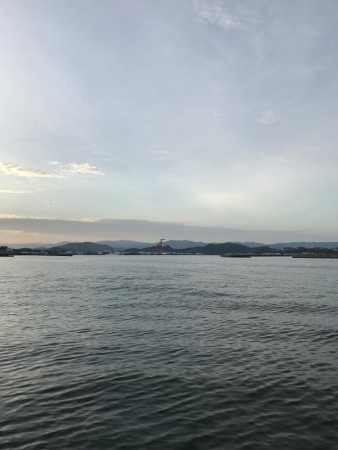 タチウオ狙いボウズなし