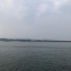 時合いを逃すな