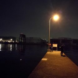 連日フェリーターミナルのヘチ釣り（本日も小さいながらキビレゲット！）