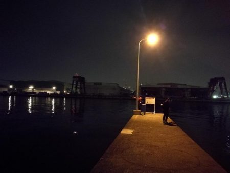 連日フェリーターミナルのヘチ釣り（本日も小さいながらキビレゲット！）