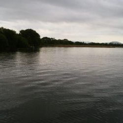 GW終盤まだシヤロー好調