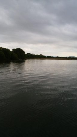 GW終盤まだシヤロー好調