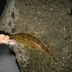 大きなエソと小さなマゴチが釣れましたー