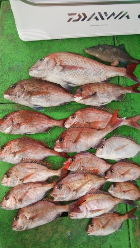 真鯛完全ふかせ