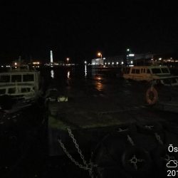 南港フェリーヘチ釣り（本日も小キビレ釣れました、３２ｃｍキビレ）