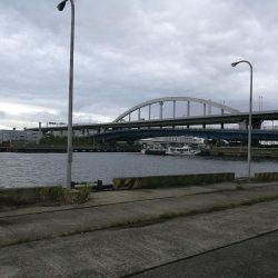 南港フェリーヘチ釣り（久々の朝マズメ行ってみた。）