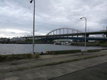 南港フェリーヘチ釣り（久々の朝マズメ行ってみた。）