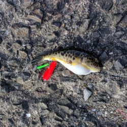 久しぶりの釣行