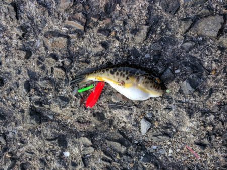 久しぶりの釣行