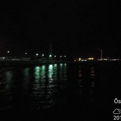 南港フェリーでヘチ釣り（久々の大ガシラ？タケノコ？）