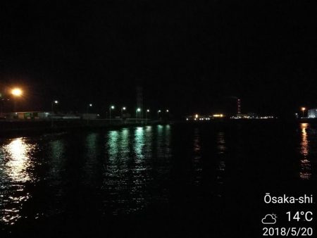 南港フェリーでヘチ釣り（久々の大ガシラ？タケノコ？）