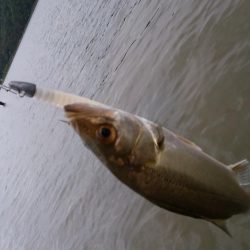 ウェーディング