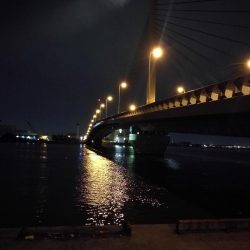 久々のカモメ大橋ヘチ釣り釣行(43cmキビレ他釣果有り!)