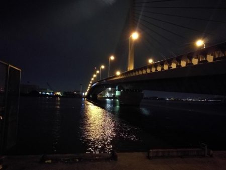 久々のカモメ大橋ヘチ釣り釣行(43cmキビレ他釣果有り!)