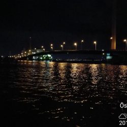 南港カモメ大橋のヘチ釣り(45cmキビレ他釣果アリ!)