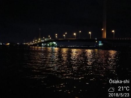 南港カモメ大橋のヘチ釣り(45cmキビレ他釣果アリ!)