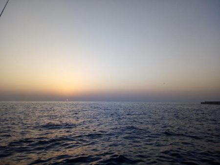 めばる調査のはずが、、