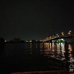 南港カモメ大橋釣行(頭42.5cmキビレチヌ他釣果有り