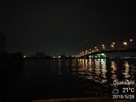 南港カモメ大橋釣行(頭42.5cmキビレチヌ他釣果有り