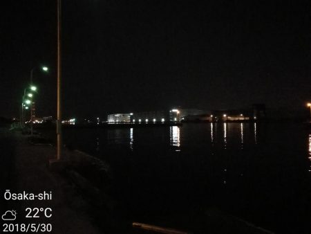 南港フェリーヘチ釣行(良型キビレチヌ(40cm,39cm)ガシラ2匹釣果)