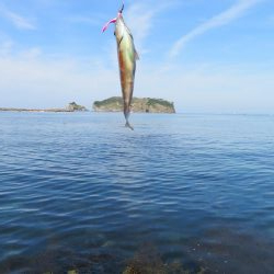 狙いのメバルはもう一つ