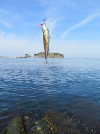 狙いのメバルはもう一つ