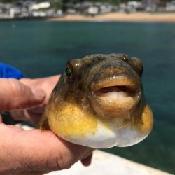 昼寝日和の波止場ビール♫