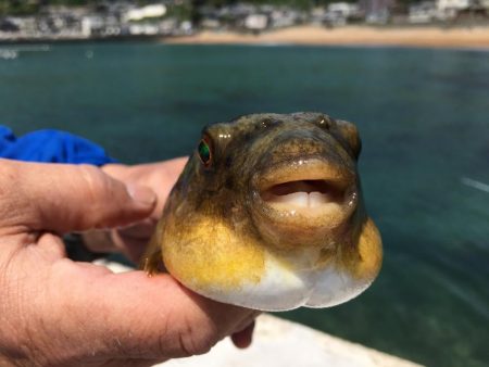 昼寝日和の波止場ビール♫