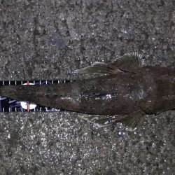 観潮船の港にて