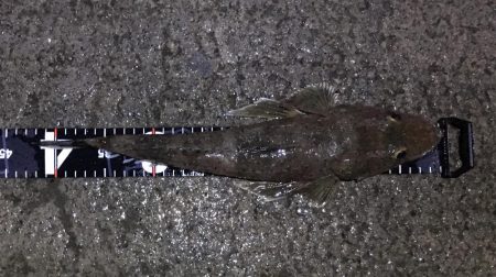 観潮船の港にて