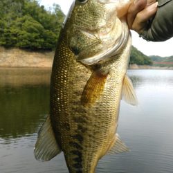 ちょっと注文多め?