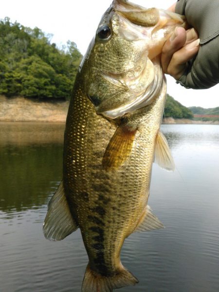 ちょっと注文多め?