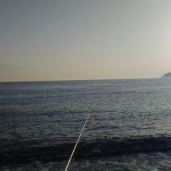 青物狙いで、合間にヒラメでもと思い夕方から参戦しました。