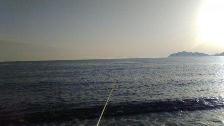 青物狙いで、合間にヒラメでもと思い夕方から参戦しました。