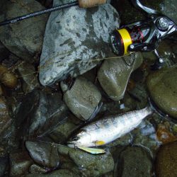 渓流ミノーイング