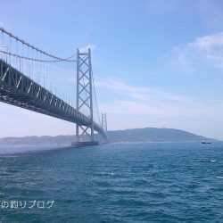 ファミリーフィッシング&グレ狙い