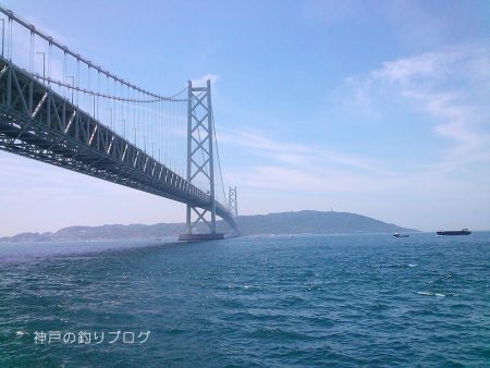 ファミリーフィッシング&グレ狙い