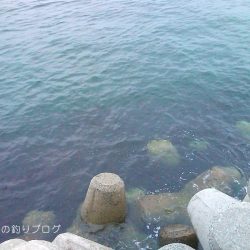 短時間穴釣りで8匹