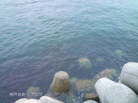 短時間穴釣りで8匹