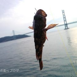 カン付き円錐でウキフカセ