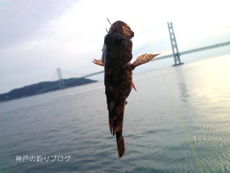 カン付き円錐でウキフカセ