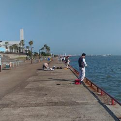 もう少しかかるかな?