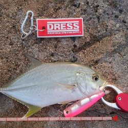 メッキ5バイトで2キャッチです。