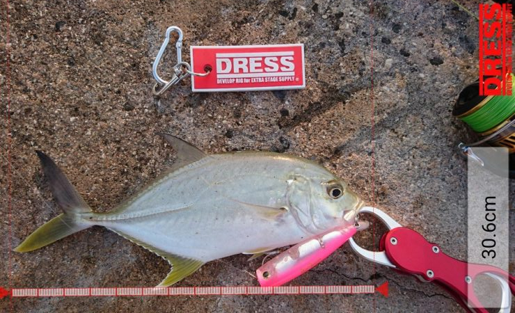 メッキ5バイトで2キャッチです。