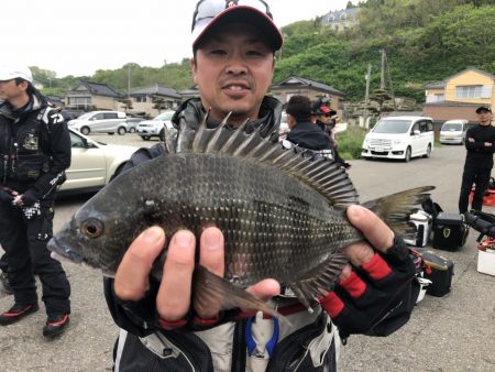 由良渡船 釣果