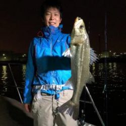 シーマジカル 釣果