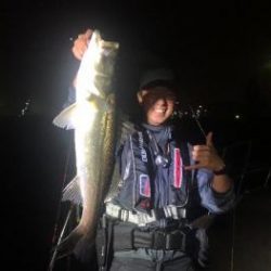 シーマジカル 釣果